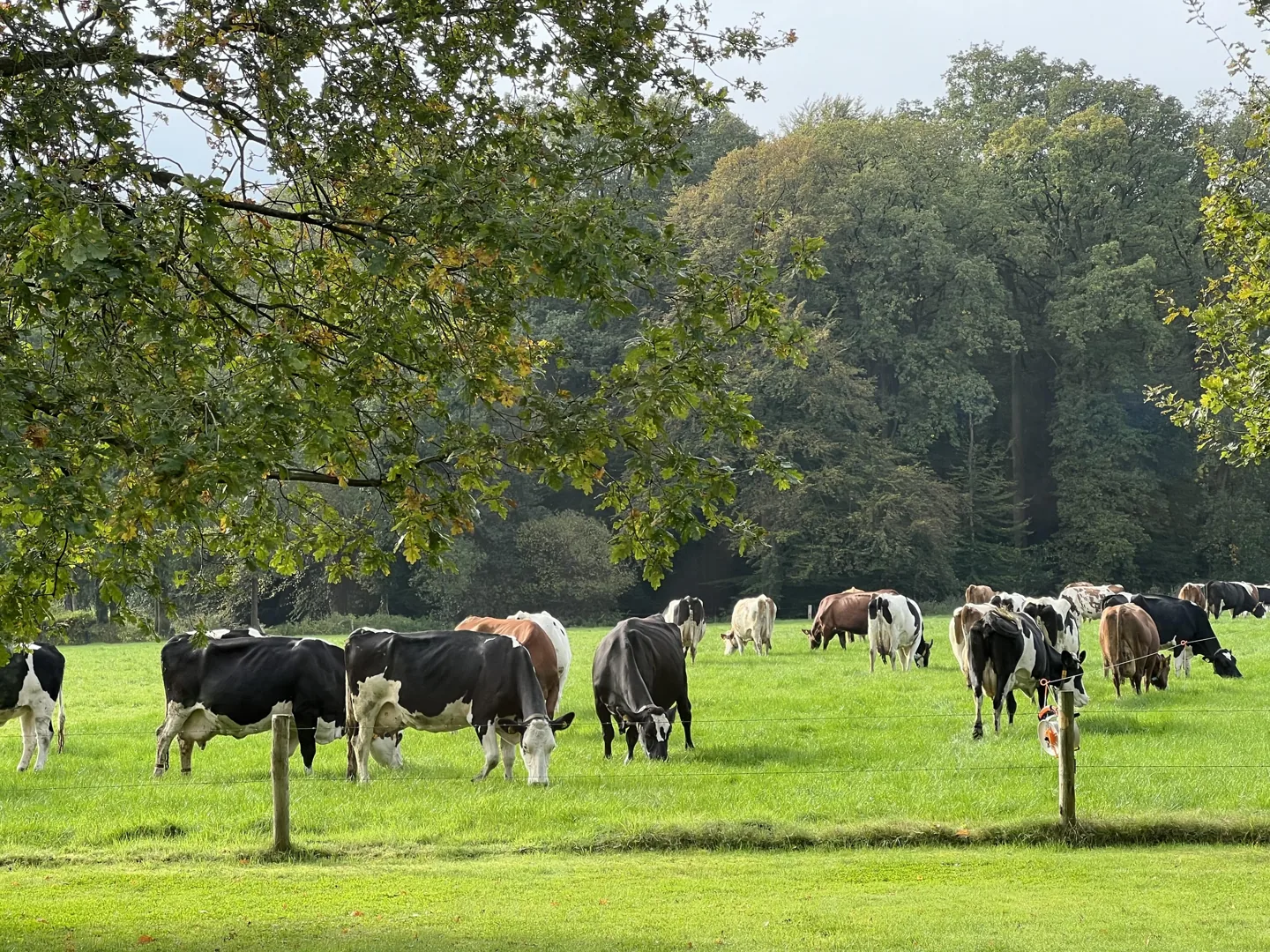 Hof van Heden en het omliggende landgoed